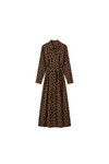 Leopard Print Maxi Dress