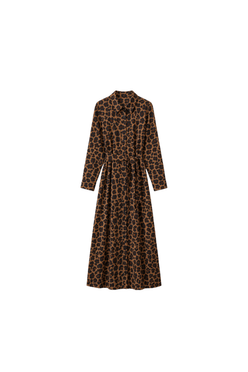Leopard Print Maxi Dress