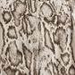 Snake-Print Pants