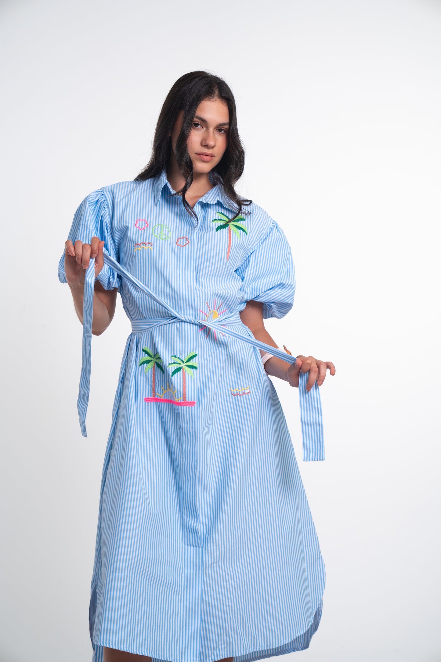 Light Blue Embroidered Cotton Blend Shirt Dress